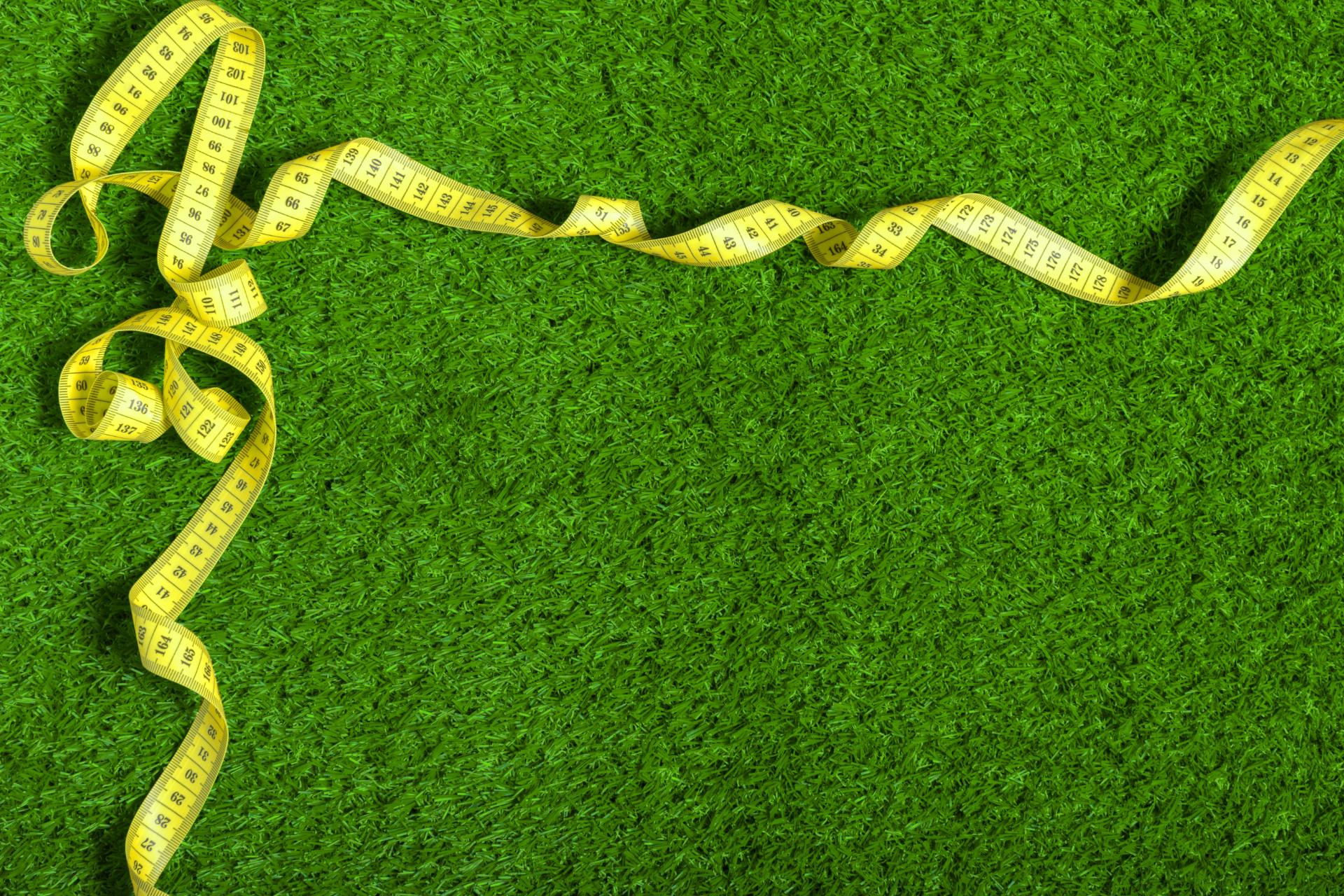 How to Measure Your Lawn (And Why It's the First Step in Any Lawn Care Program)