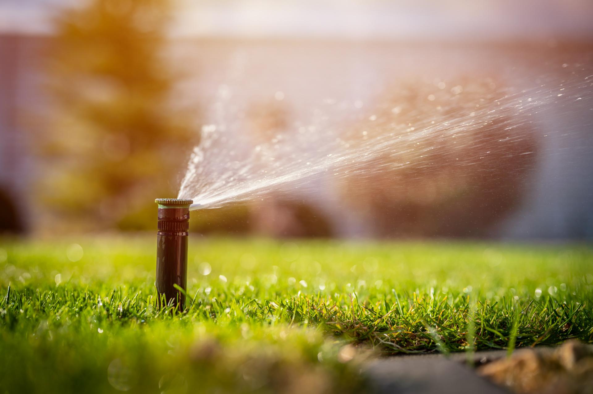 How to Water Your Lawn the Right Way
