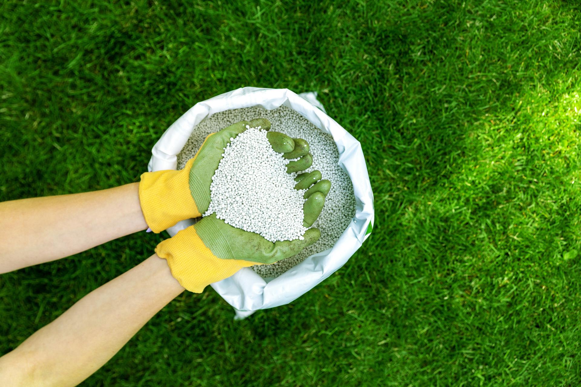 Summer Lawn Feeding: Why Less Nitrogen Is More (and What to Use Instead)
