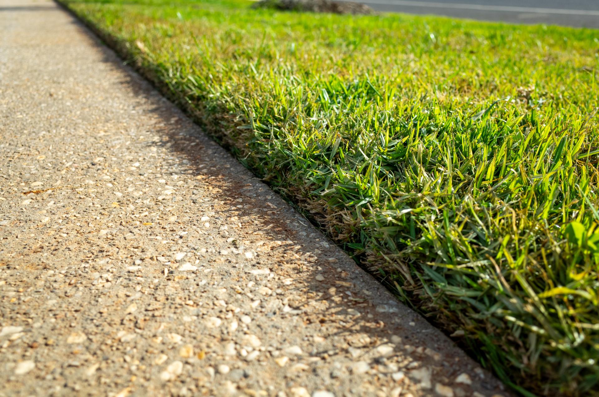 Too Wet to Mow? Here's What to Do Instead (and Why Damp Ground Is Actually an Opportunity)