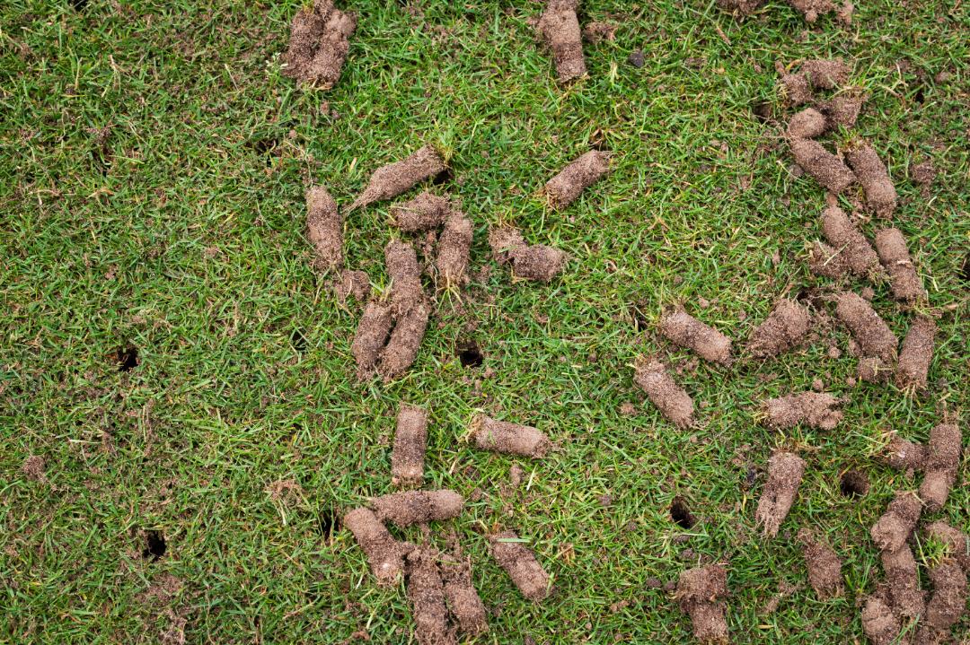 Aeration