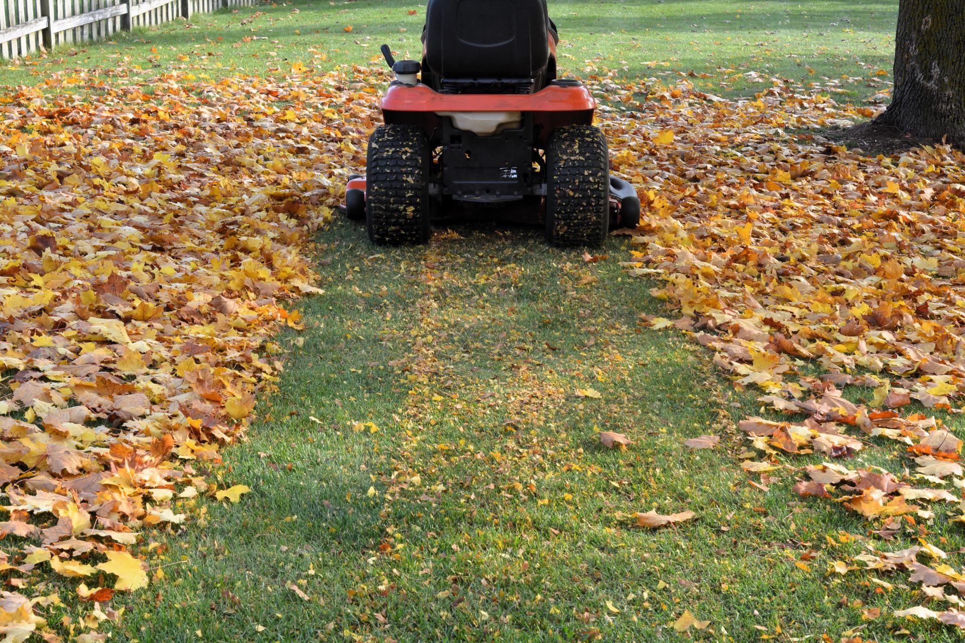 Fall Lawn Care Checklist: What to Do in September, October & November