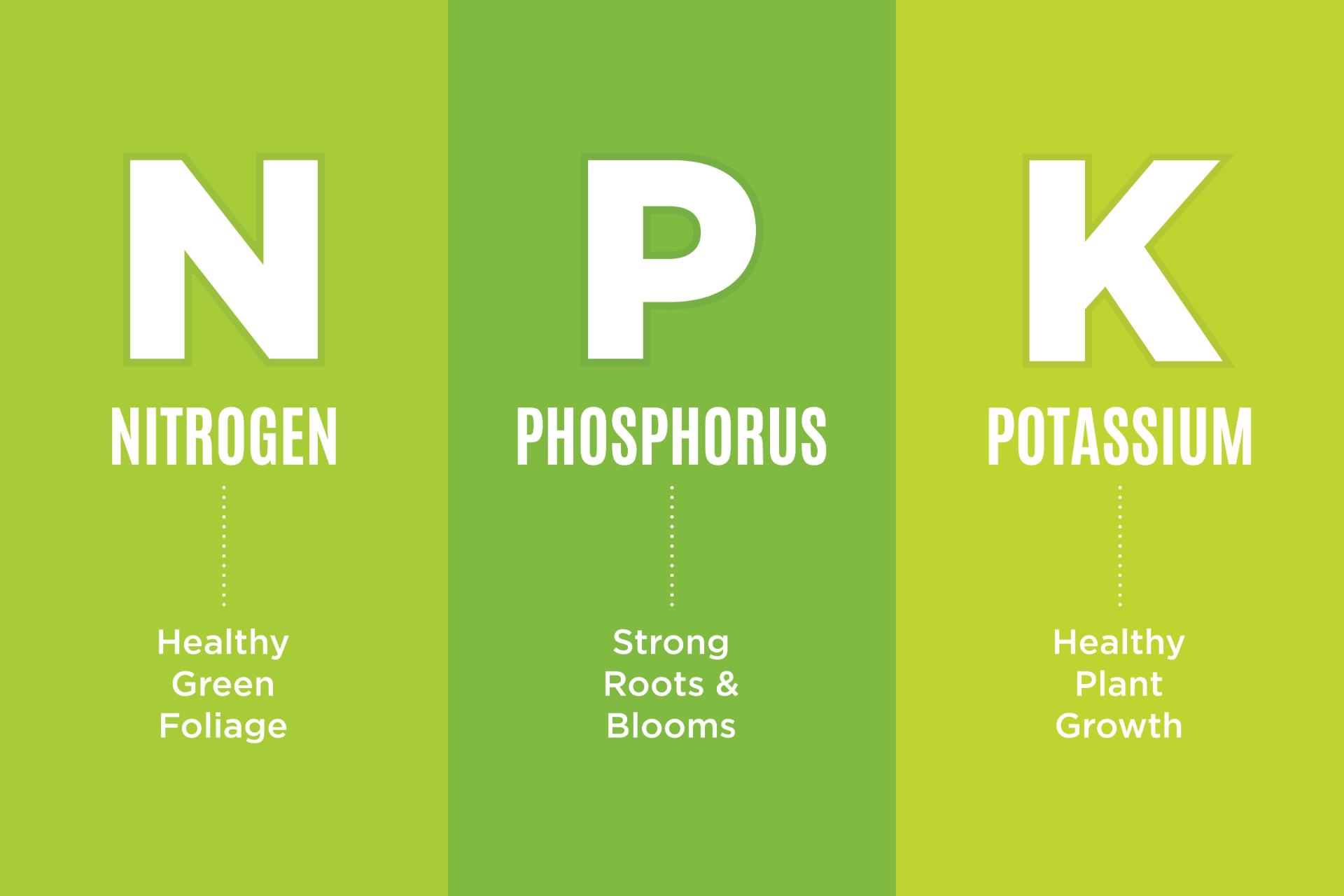 The N-P-K Guide: What the Numbers on a Fertilizer Bag Actually Mean